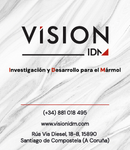 260x300 vision-idm